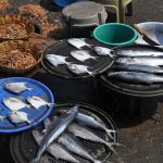 Harne fish Market