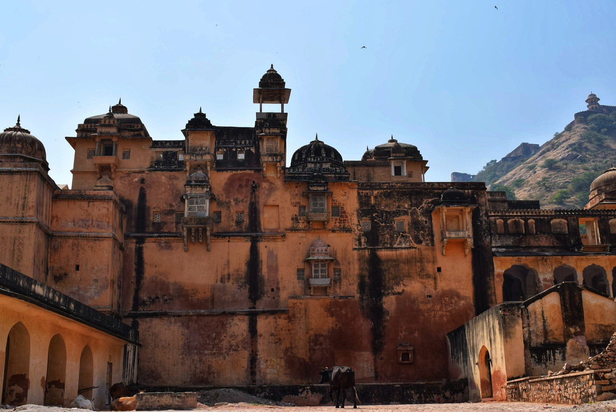 Amer Fort