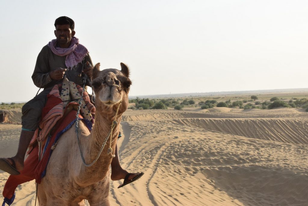 Camel Ride Jaisalmer