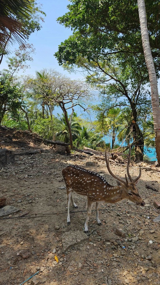 Ross Island, Port Blair