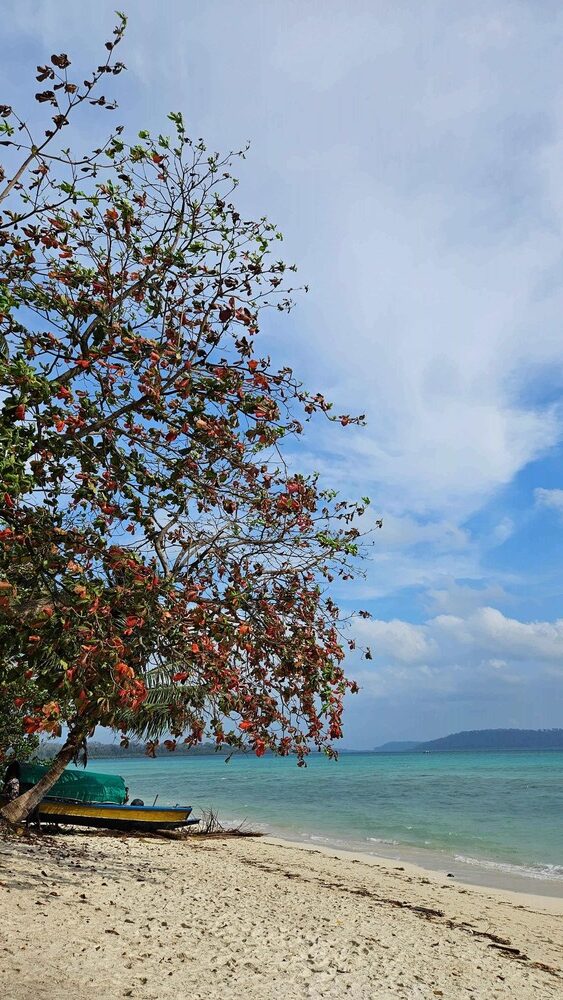 Govindnagar Beach, Havelock