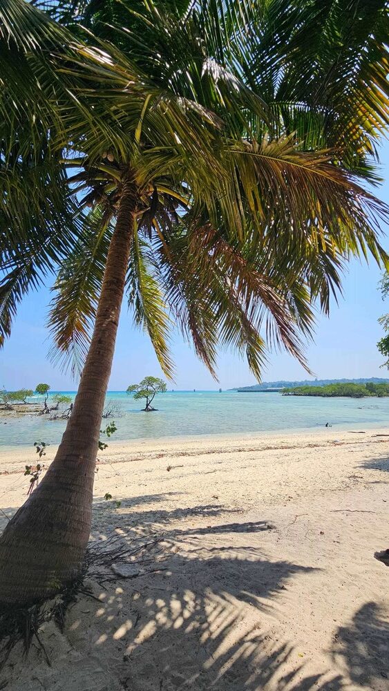 Bharatpur Beach, Neil Island