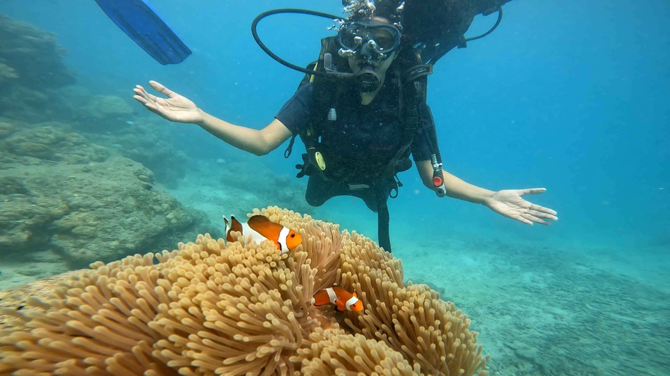 Scuba Diving in Havelock
