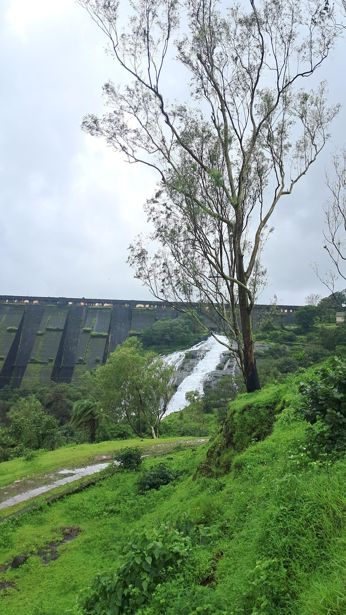 Umbrella Falls, Bhandardhara