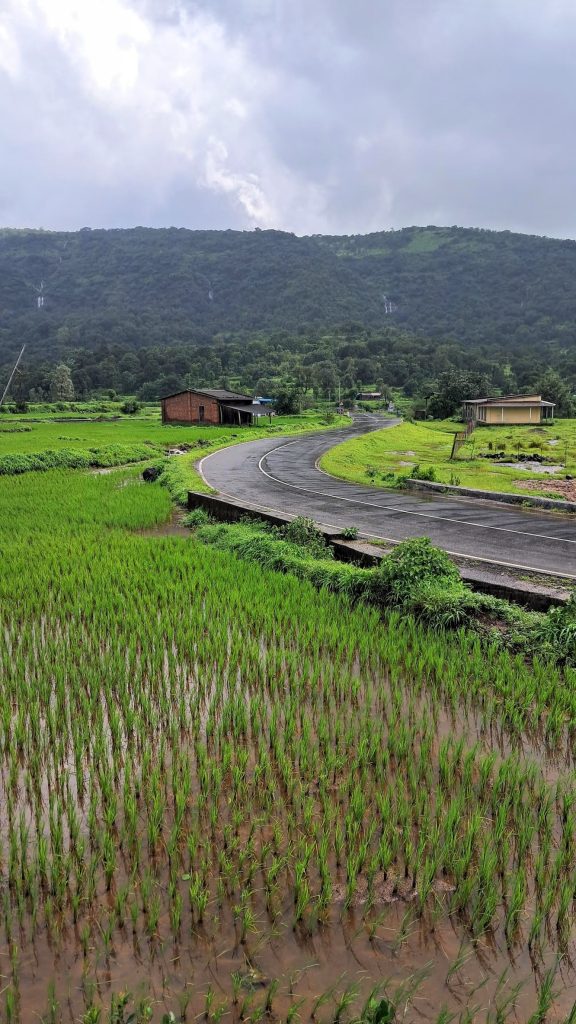 Road to Bhandardhara